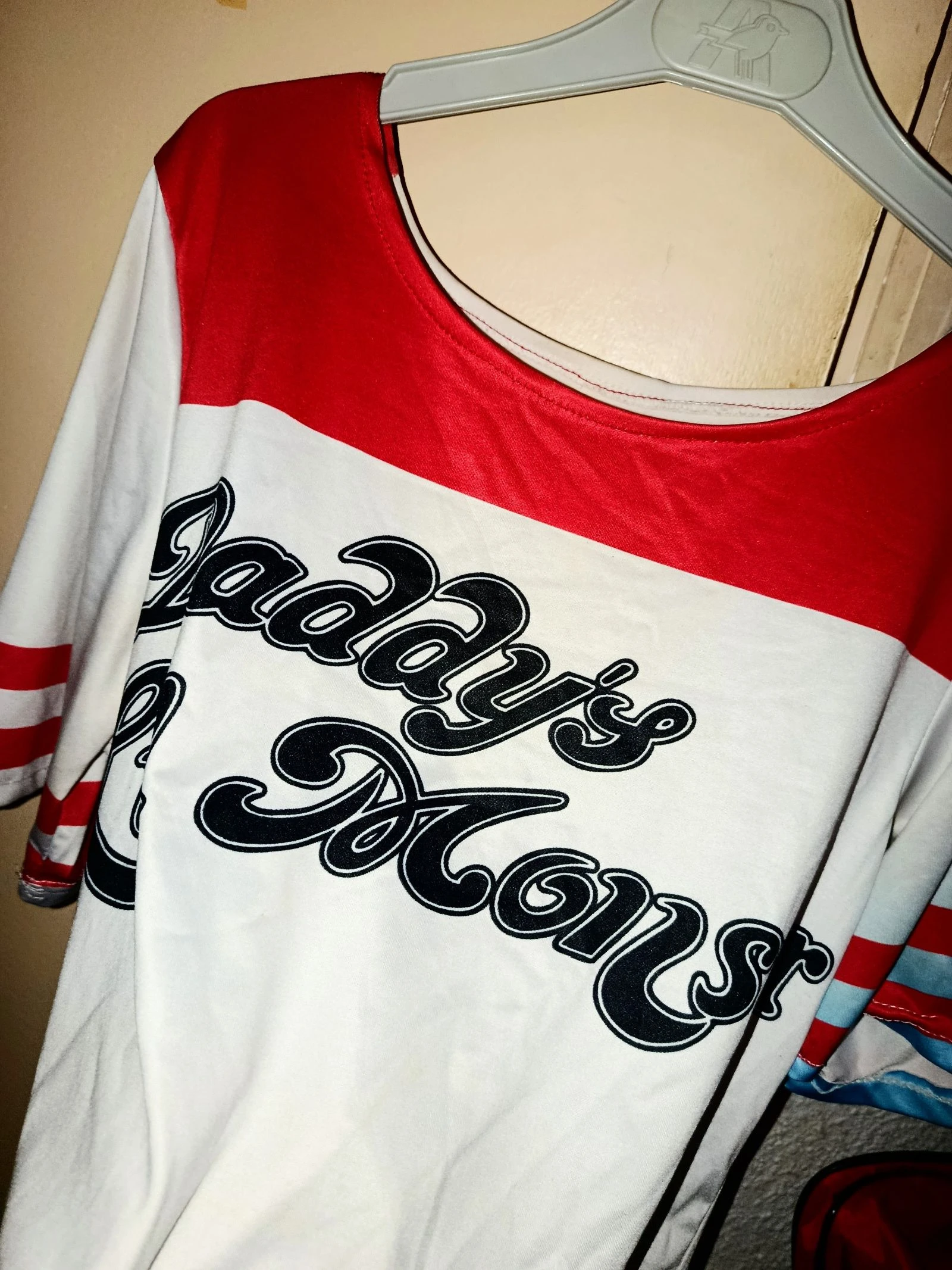 Harley Quinn cosplay – photo 3